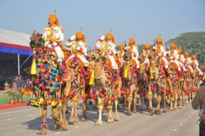 Bikaner Camel Festival