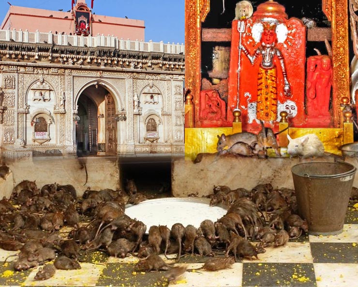 Karni-Mata-Temple